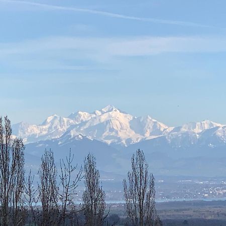 Chalet Du Montblanc 4 Pers Max Жекс Екстериор снимка
